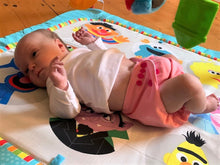 Load image into Gallery viewer, Pink Lemonade Cloth Nappy I One Size Fits Most